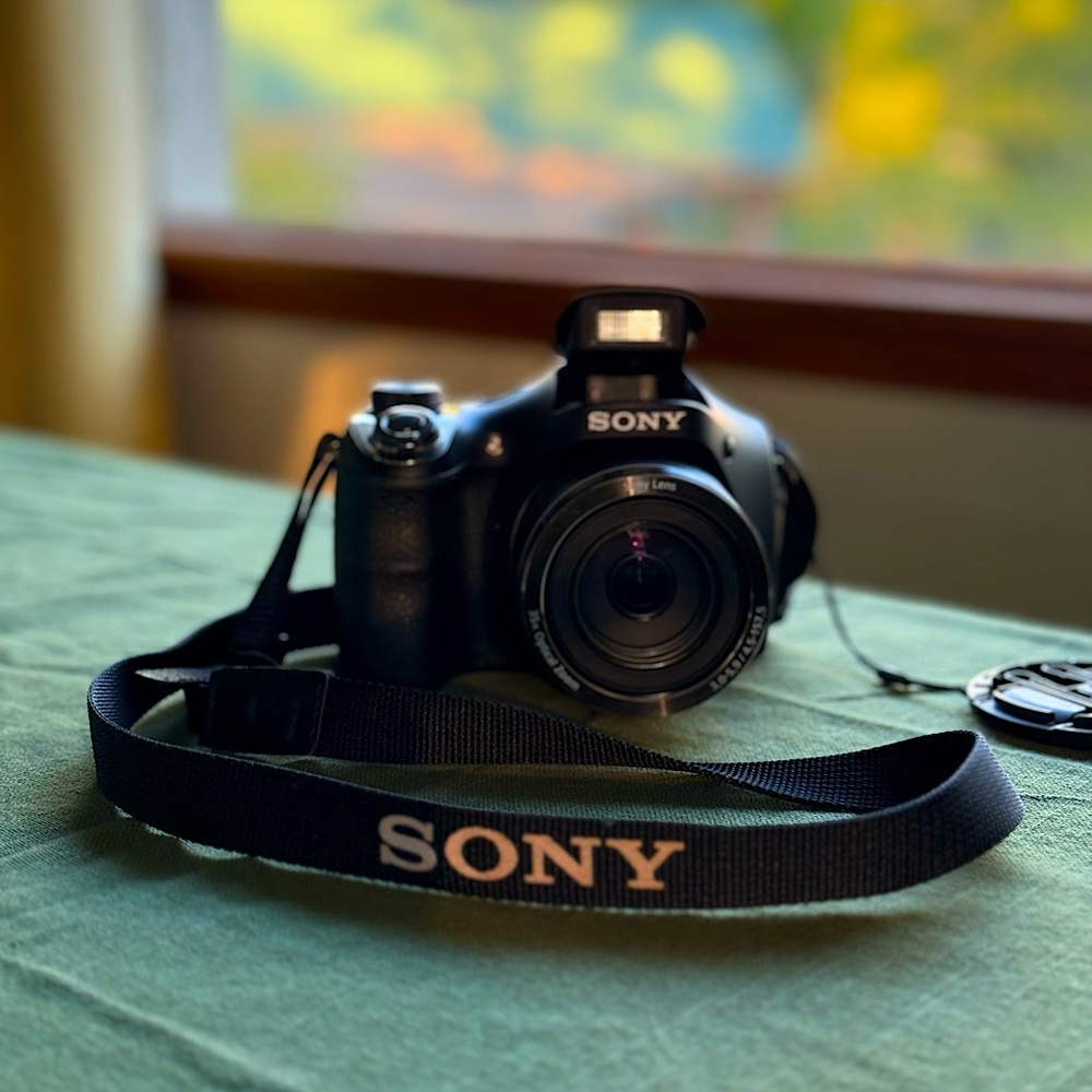 Sony Cyber-Shot DSC-H300